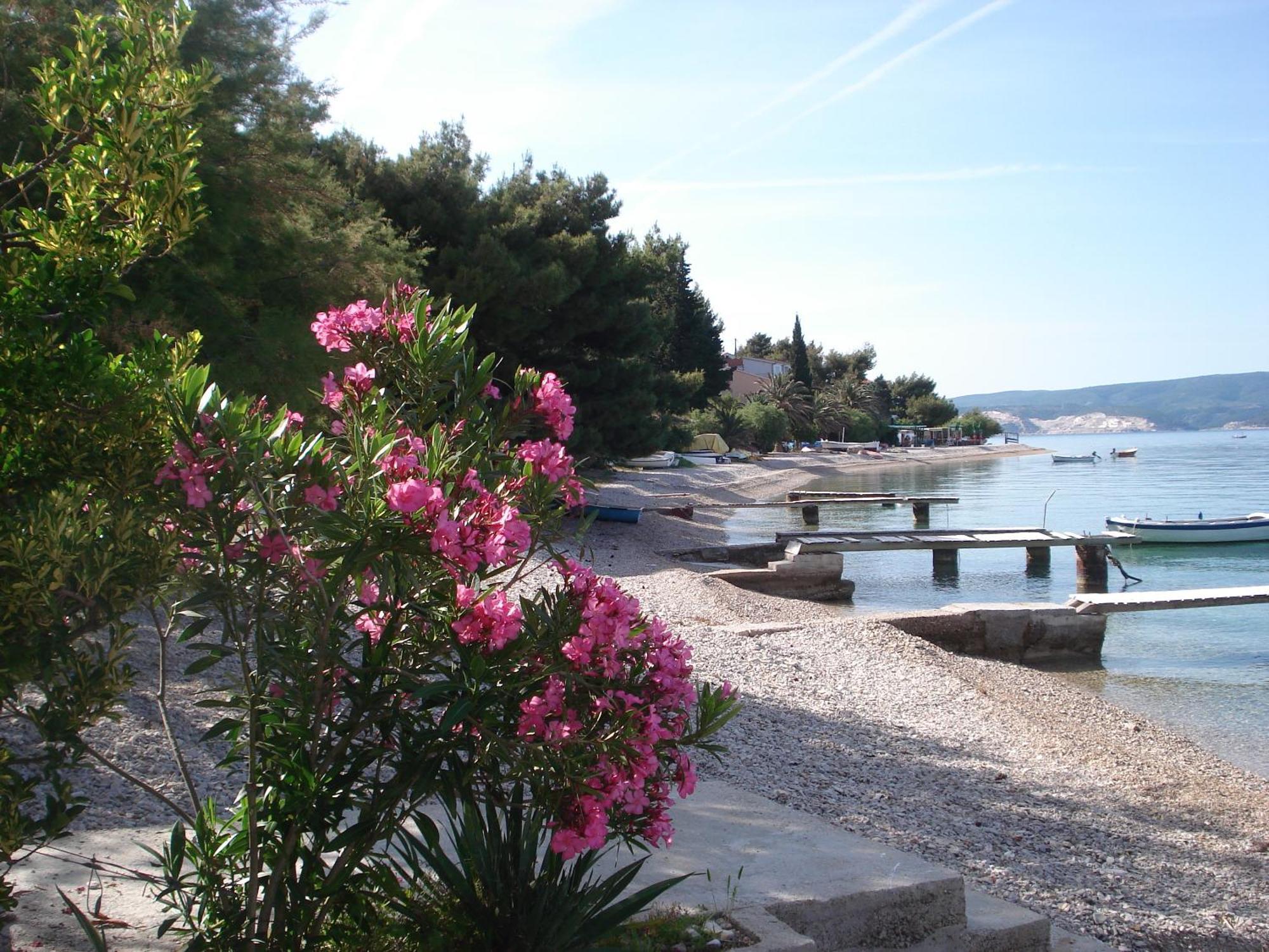 Apartments Smiljana Omis Bagian luar foto